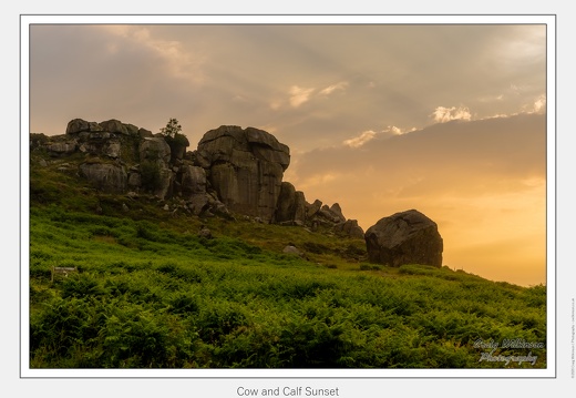 Cow and Calf Sunset - July 03, 2021 - 02