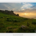 Cow and Calf Sunset #2 - July 03, 2021 - 01.jpg