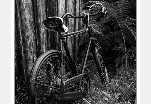 The Old Bike - July 31, 2016 - 01