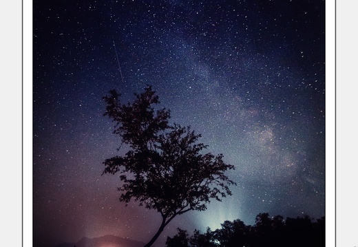 01-Milkyway over the Lone Tree - (3840 x 5760)