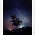 01-Milkyway over the Lone Tree - (3840 x 5760).jpg