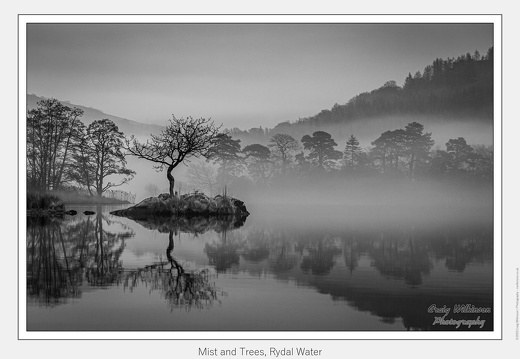 01-Mist and Trees, Rydal Water - (5760 x 3840)
