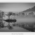 01-Mist and Trees, Rydal Water - (5760 x 3840)