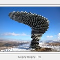 01-Singing Ringing Tree - (1024 x 683)
