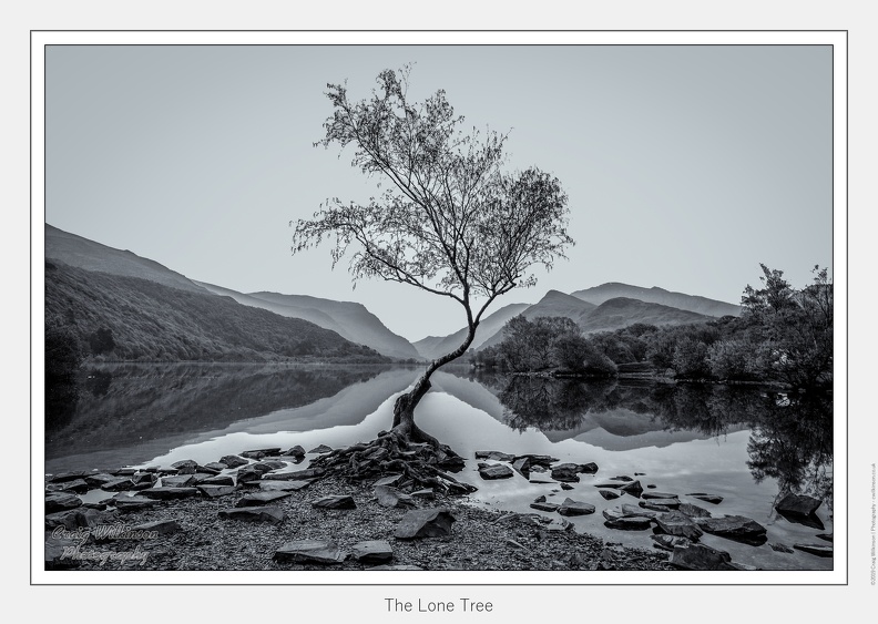 01-The Lone Tree - (5760 x 3840).jpg