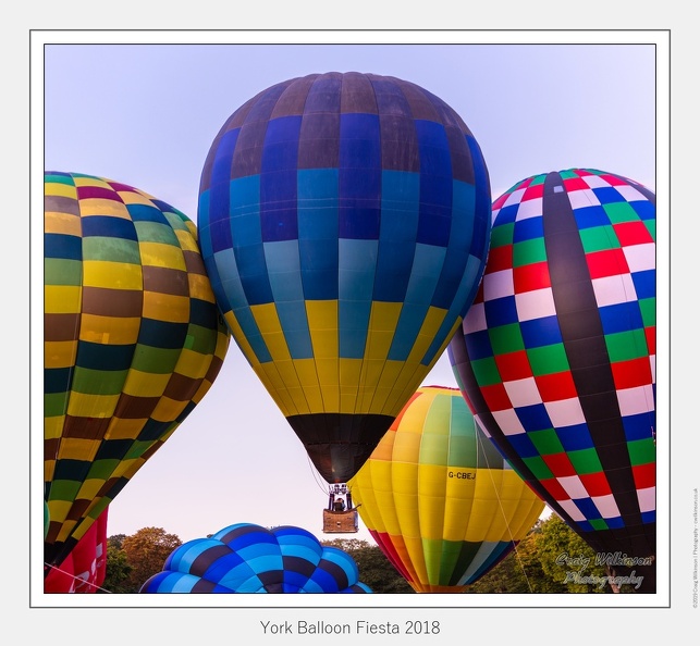 17-York Balloon Fiesta 2018 - (6710 x 5858)