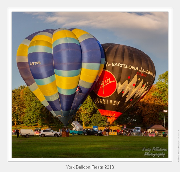 28-York Balloon Fiesta 2018 - (6457 x 5809).jpg