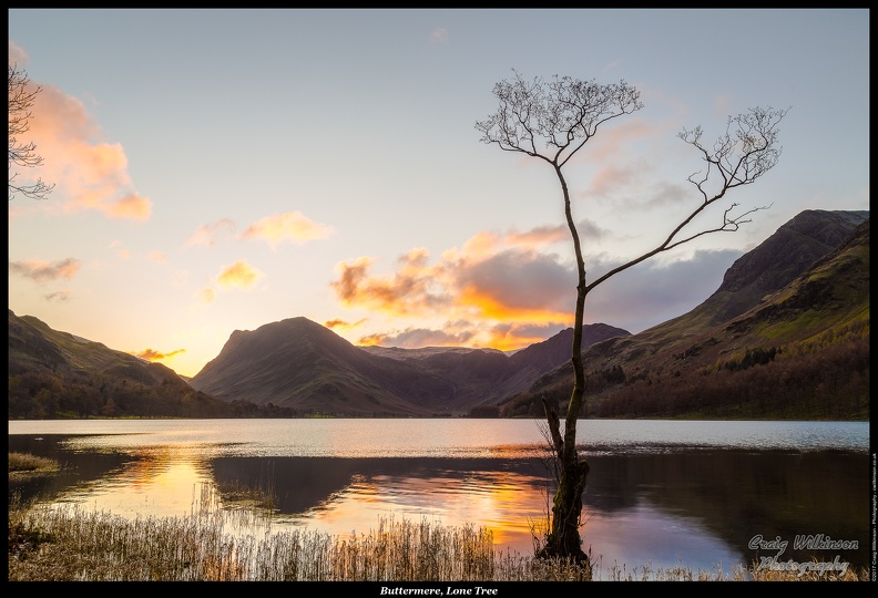 01a-Buttermere, Lone Tree - (5745 x 3830)