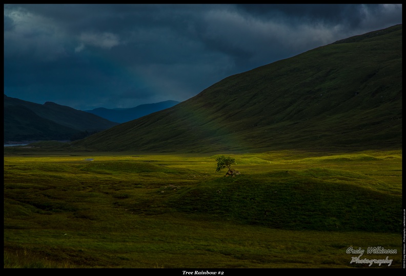 03-Tree Rainbow #2 - (5760 x 3840).jpg