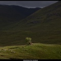 01-Illuminated Tree, Scotland - (5760 x 3840)
