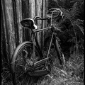 01-The Old Bike - (3840 x 5760)