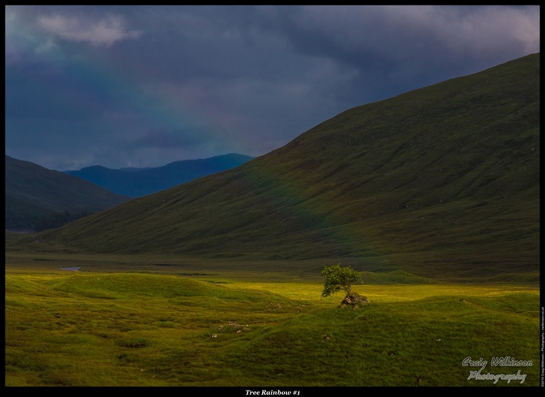 02-Tree Rainbow #1 - (5760 x 3840).jpg