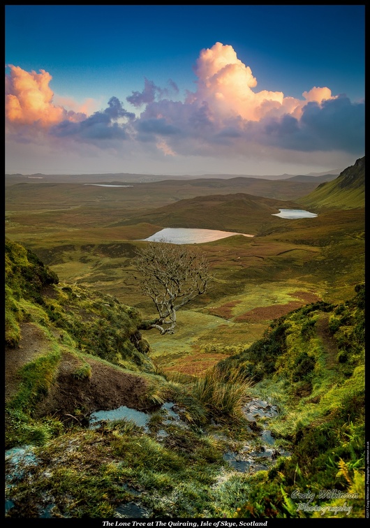 01-The Lone Tree at The Quiraing, Isle of Skye, Scotland - (3830 x 5450)