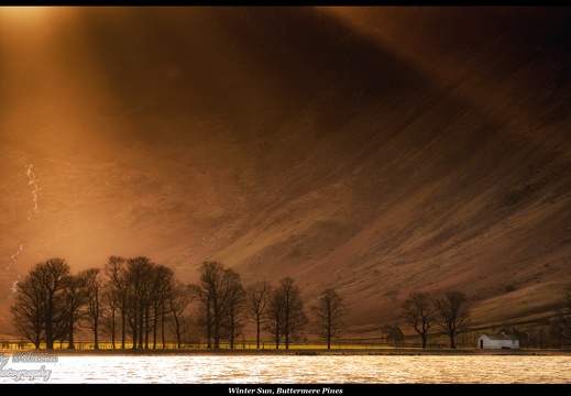 01-Winter Sun, Buttermere Pines - (5836 x 3511)