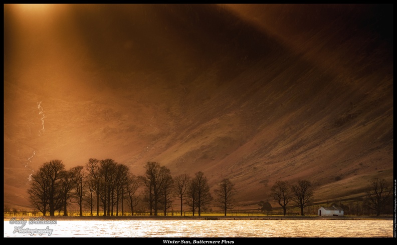 01-Winter Sun, Buttermere Pines - (5836 x 3511).jpg