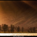 01-Winter Sun, Buttermere Pines - (5836 x 3511).jpg