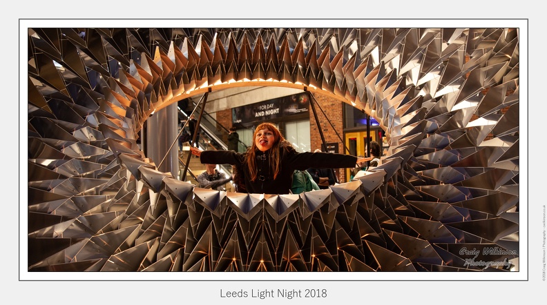 Leeds Light Night 2018