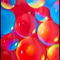 Oil on Water Bubbles