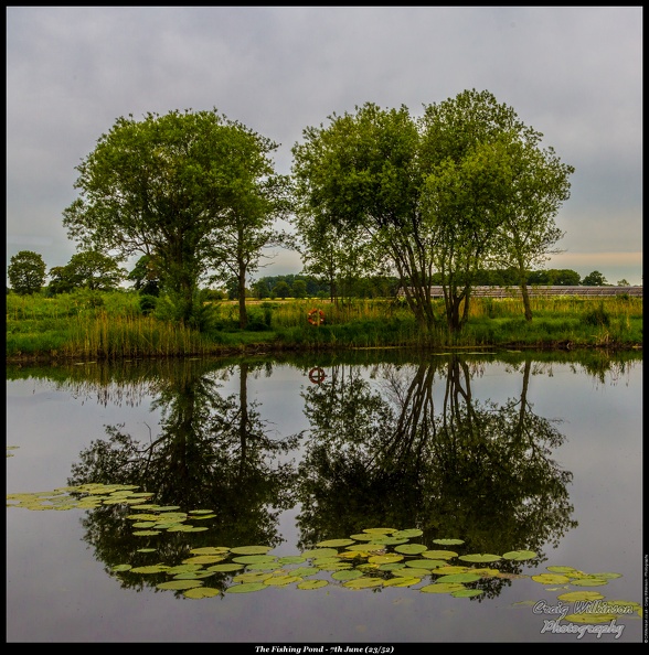 The Fishing Pond - 7th June (23/52)