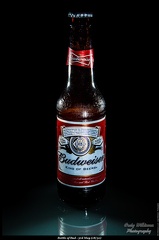Bottle of Bud - 3rd May (18/52)