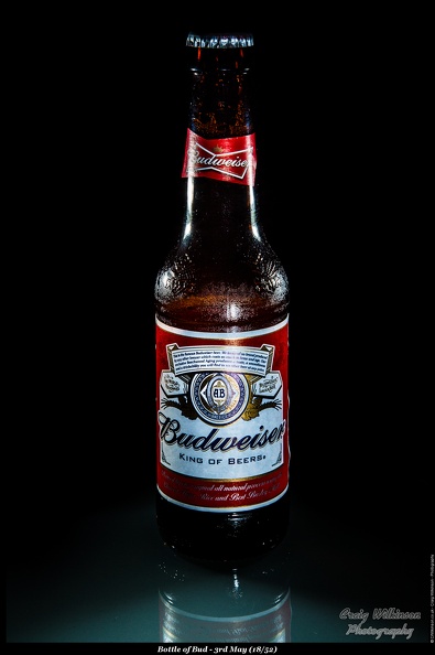 Bottle of Bud - 3rd May (18/52)