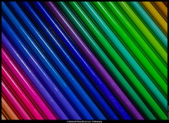 Coloured Pencils (2/12) - February