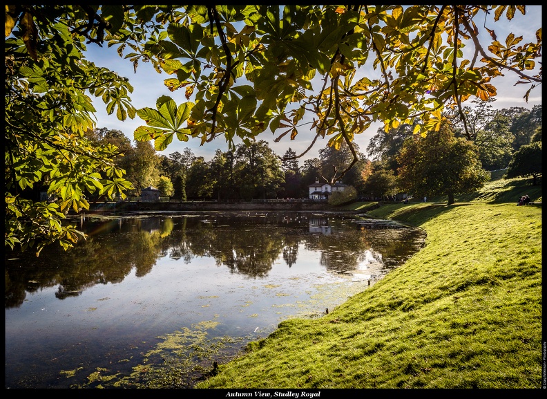 Autumn View, Studley Royal