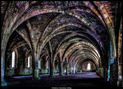 Cloisters, Fountains Abbey [Explored #7]