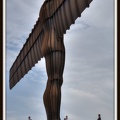 Angel of the North(1)