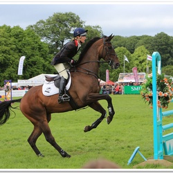 Bramham Horse Trials 2012 Horse Jumping