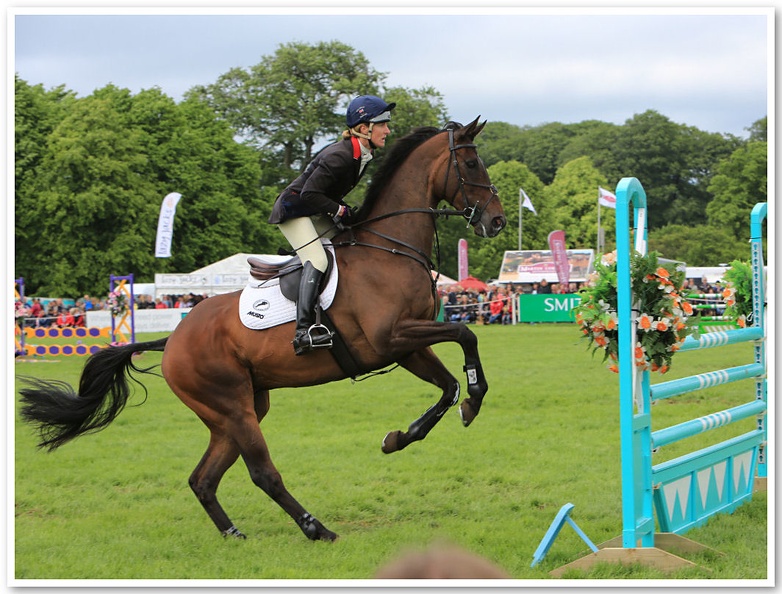 Bramham Horse Trials 2012 Horse Jump(49)