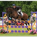 Bramham Horse Trials 2012 Horse Jump(47)