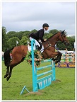 Bramham Horse Trials 2012 Horse Jump(46)