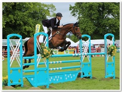 Bramham Horse Trials 2012 Horse Jump(45)
