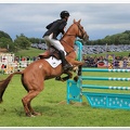 Bramham Horse Trials 2012 Horse Jump(43)
