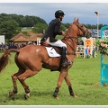 Bramham Horse Trials 2012 Horse Jump(42)