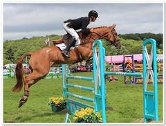 Bramham Horse Trials 2012 Horse Jump(40)