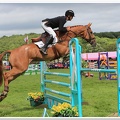 Bramham Horse Trials 2012 Horse Jump(40)