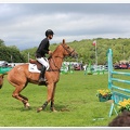 Bramham Horse Trials 2012 Horse Jump(38)