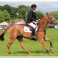 Bramham Horse Trials 2012 Horse Jump(37)