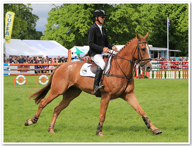 Bramham Horse Trials 2012 Horse Jump(36)