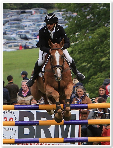 Bramham Horse Trials 2012 Horse Jump(33)