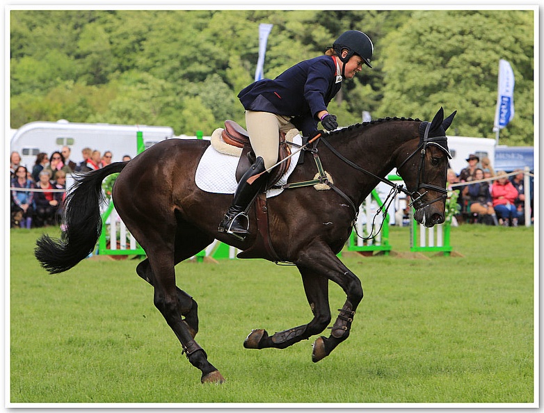 Bramham Horse Trials 2012 Horse Jump(32)