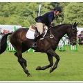 Bramham Horse Trials 2012 Horse Jump(32)
