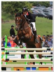Bramham Horse Trials 2012 Horse Jump(26)