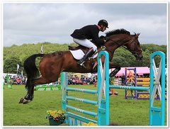 Bramham Horse Trials 2012 Horse Jump(25)