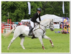 Bramham Horse Trials 2012 Horse Jump(22)