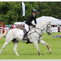 Bramham Horse Trials 2012 Horse Jump(22)
