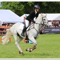 Bramham Horse Trials 2012 Horse Jump(21)