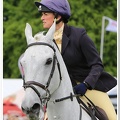 Bramham Horse Trials 2012 Horse Jump(19)